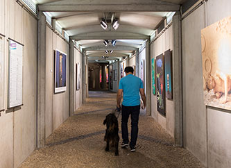 Saint Esprit elevator